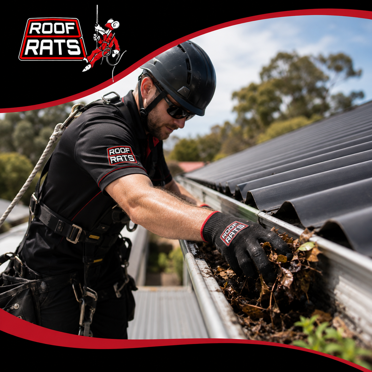 Roof Rats worker on rope pulling leaves and debris out of a gutter